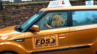 Young Black Girl's First Car Sex Lesson with Ryan Ryder - enjoy the best porn on HD-PORN.ONLINE