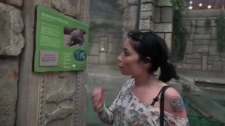 Rina Ellis Fucks You in Vegas - Hot Brunette GF POV - enjoy the best porn on HD-PORN.ONLINE